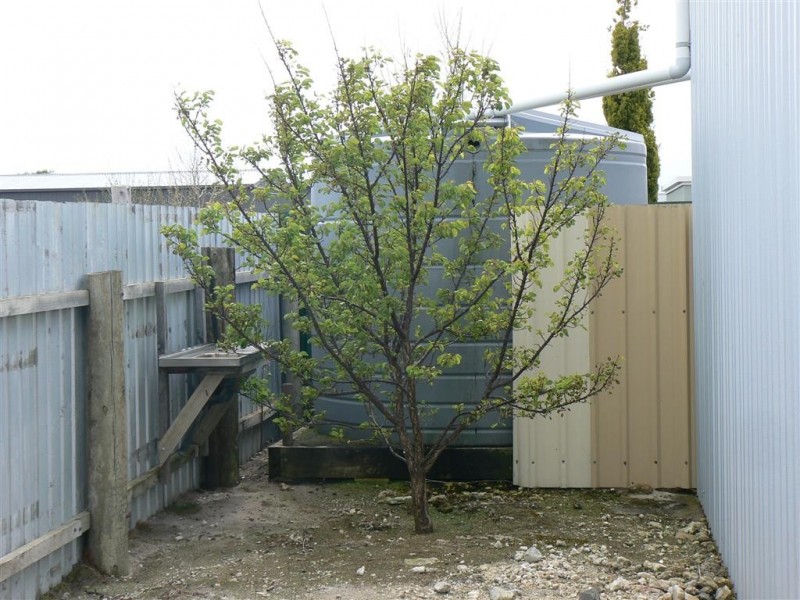 4 Flint Street, Robe SA 5276