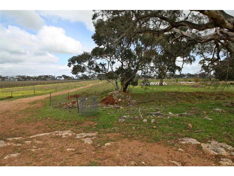 5875 Riddoch Highway, Padthaway SA 5271
