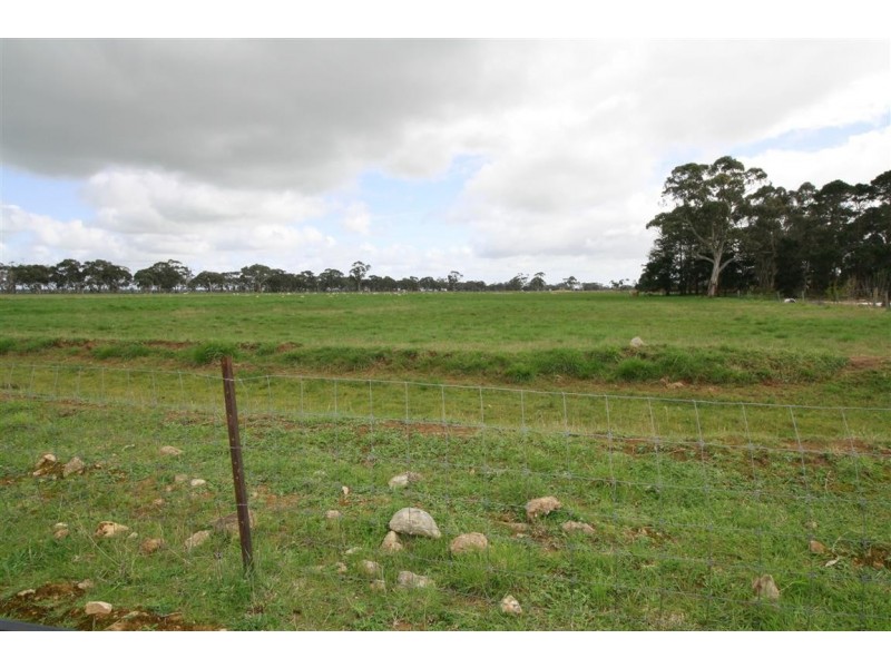 5875 Riddoch Highway, Padthaway SA 5271