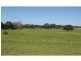 Sec 208 Millicent Road, Robe SA 5276