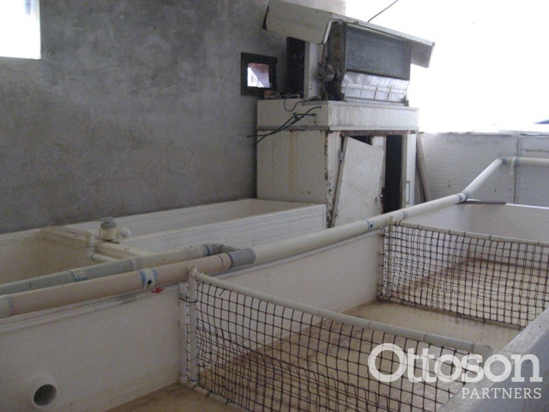 97 Southern Ports Highway, Robe SA 5276