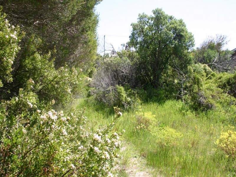 8 Powell Avenue, Robe SA 5276