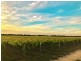 Lot 31 Elgin Lane, Robe SA 5276