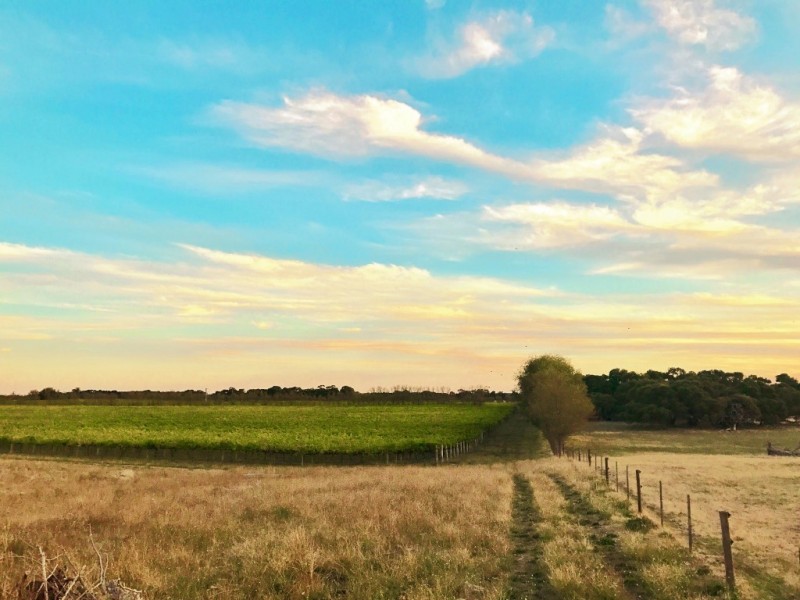 Lot 31 Elgin Lane, Robe SA 5276