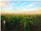 Lot 31 Elgin Lane, Robe SA 5276