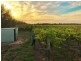 Lot 31 Elgin Lane, Robe SA 5276