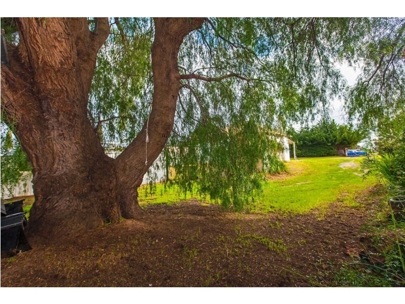 167 Gordon Street, Naracoorte SA 5271