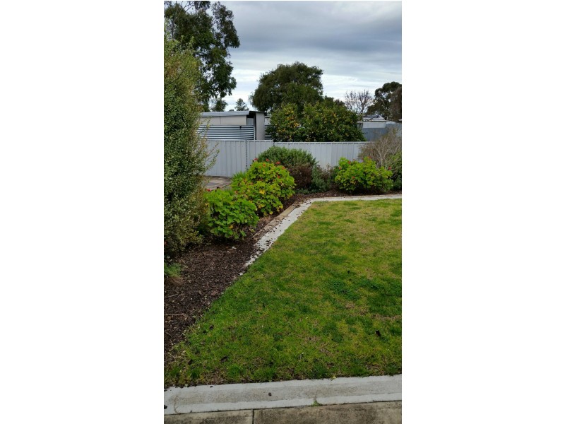 5 Merino Street, Naracoorte SA 5271