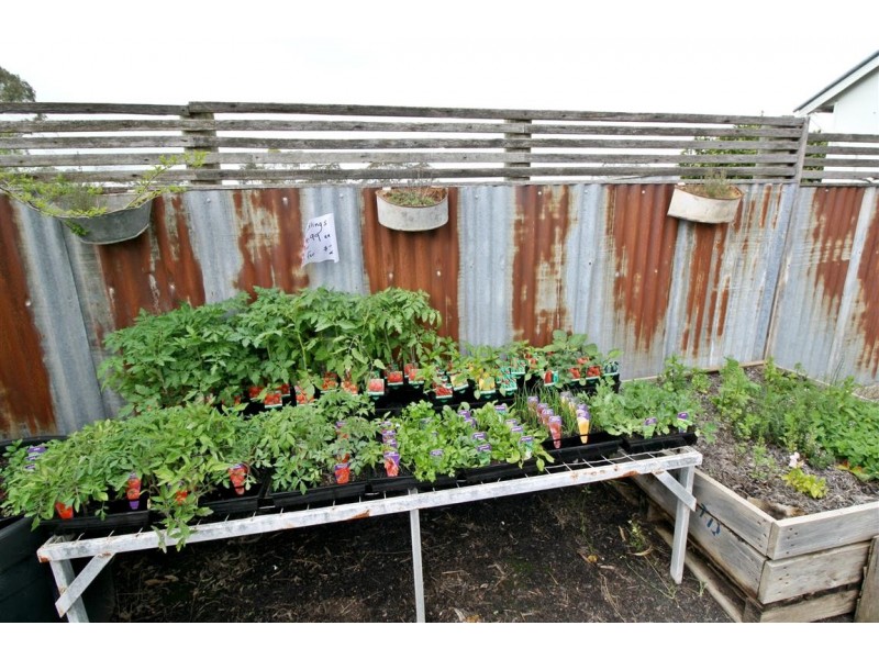 1852 Wimmera Highway, Apsley VIC 3319