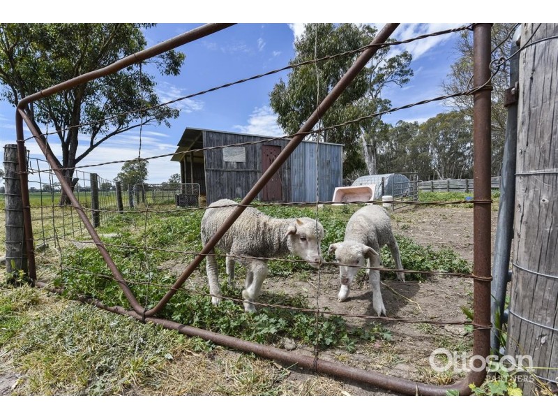 226 Butlers Road, Naracoorte SA 5271