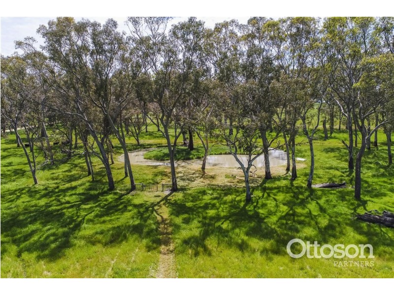 226 Butlers Road, Naracoorte SA 5271