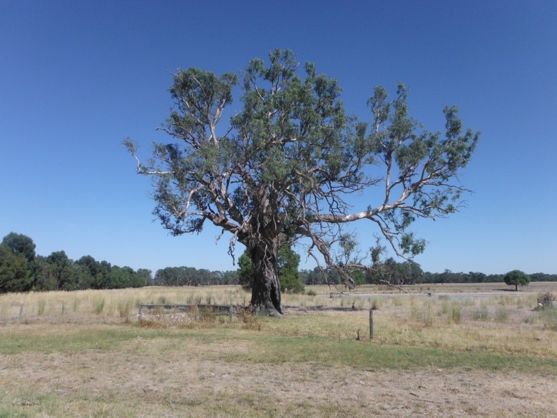 8359 Apsley Casterton Rd (Apsley Langkoop Rd), Apsley VIC 3319