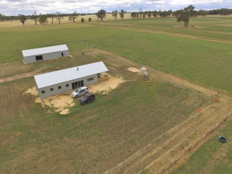 50 Walla Walla Road, Naracoorte SA 5271