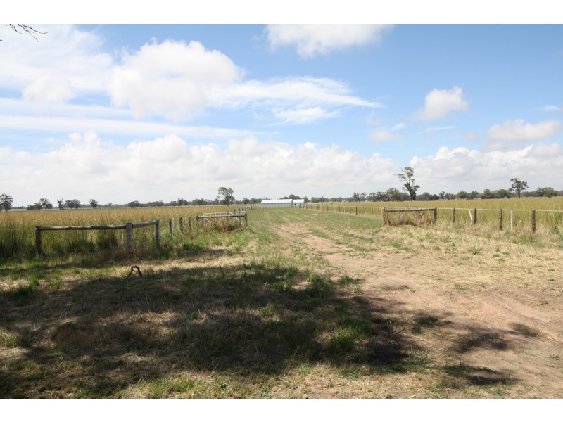 50 Walla Walla Road, Naracoorte SA 5271