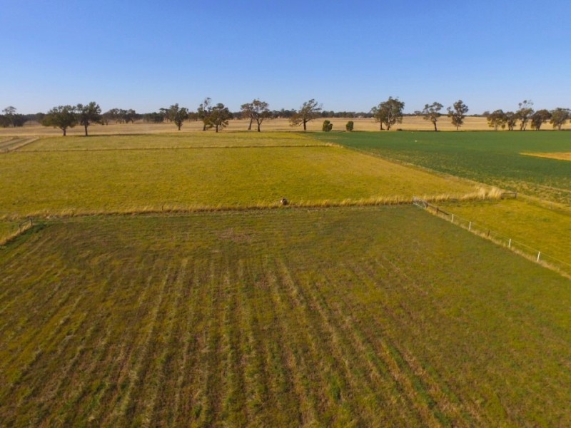 50 Walla Walla Road, Naracoorte SA 5271