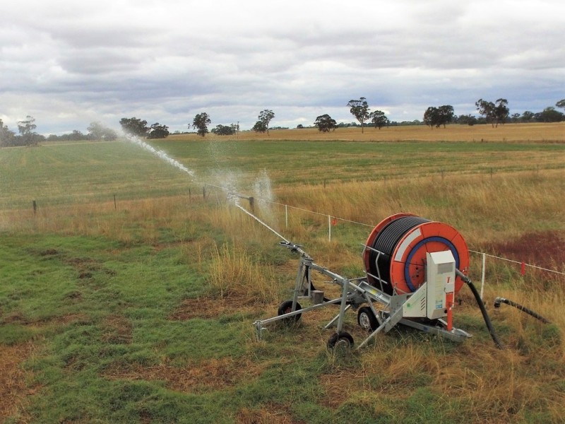 50 Walla Walla Road, Naracoorte SA 5271