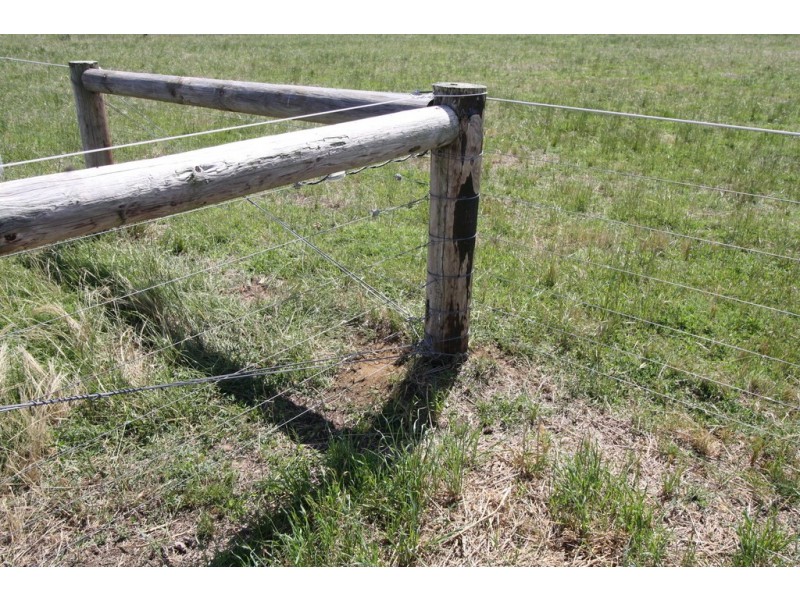 50 Walla Walla Road, Naracoorte SA 5271