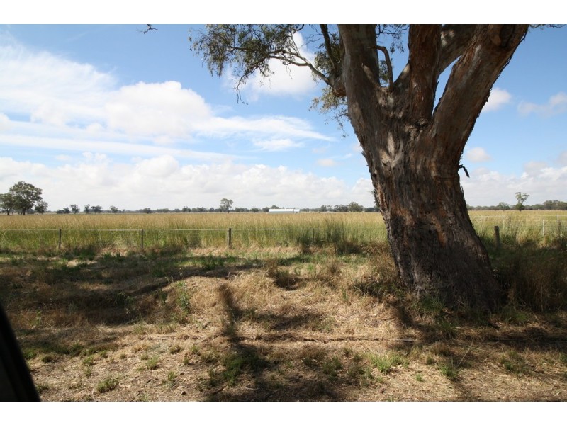 50 Walla Walla Road, Naracoorte SA 5271