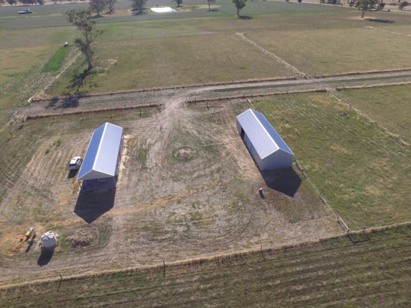 50 Walla Walla Road, Naracoorte SA 5271