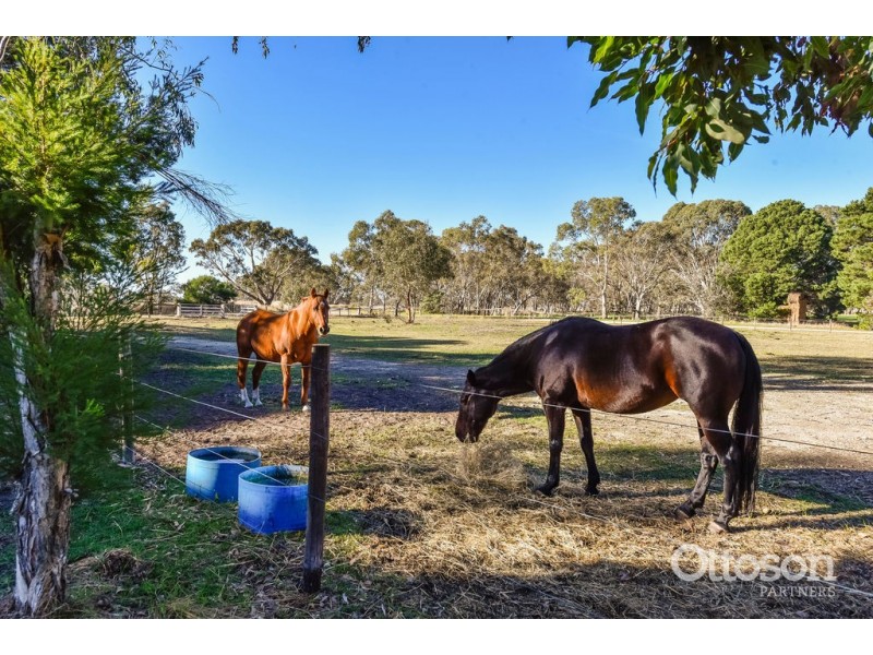 53 – 58 Waugh Street/ Peake Terrace, Hynam SA 5262