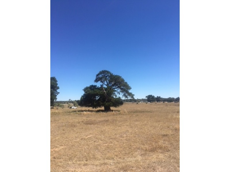 Lot 22 Pinkerton Road, Naracoorte SA 5271