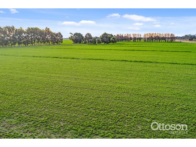 42 Gum Point Road, Naracoorte SA 5271