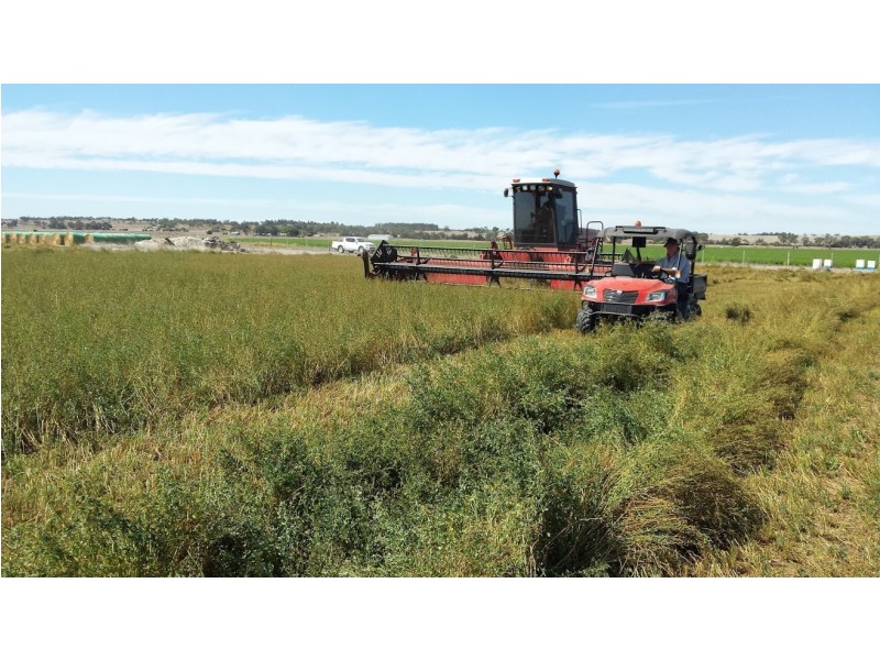 Lot 94 Braunacks Rd, Naracoorte SA 5271