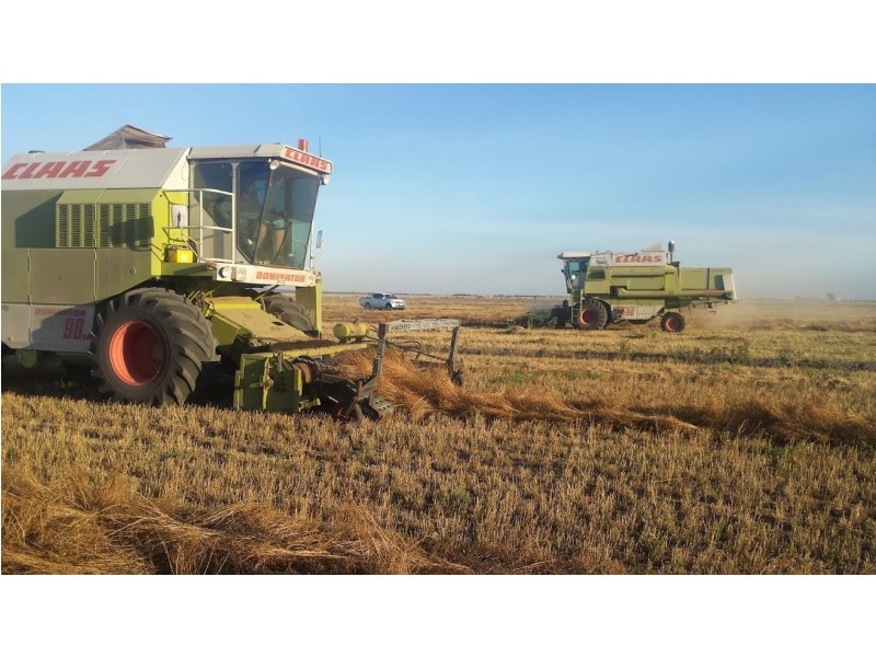 Lot 94 Braunacks Rd, Naracoorte SA 5271