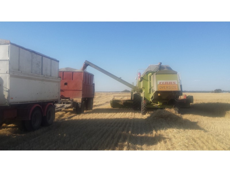 Lot 94 Braunacks Rd, Naracoorte SA 5271