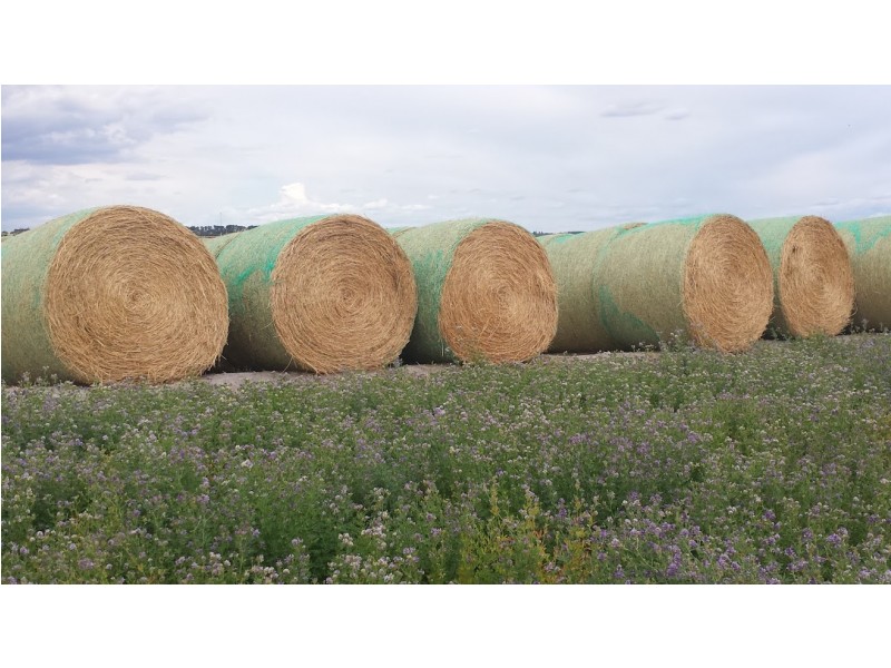 Lot 94 Braunacks Rd, Naracoorte SA 5271