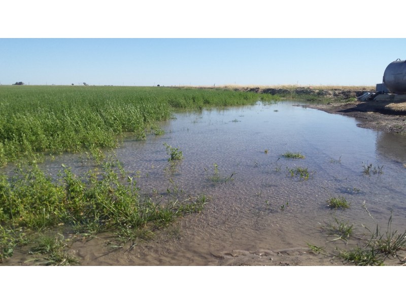 Lot 94 Braunacks Rd, Naracoorte SA 5271