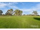 3030 Konetta Road, Lucindale SA 5272