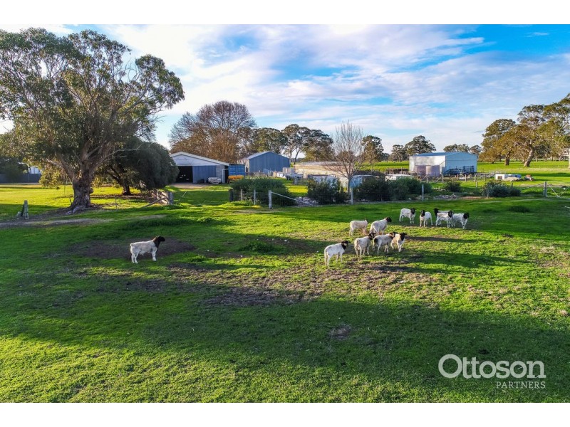 3030 Konetta Road, Lucindale SA 5272