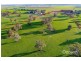 3030 Konetta Road, Lucindale SA 5272