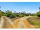 159 Hansberry Road, Lucindale SA 5272