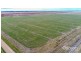 Lot 435 Robertson Hundred Line, Naracoorte SA 5271