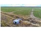 Lot 435 Robertson Hundred Line, Naracoorte SA 5271