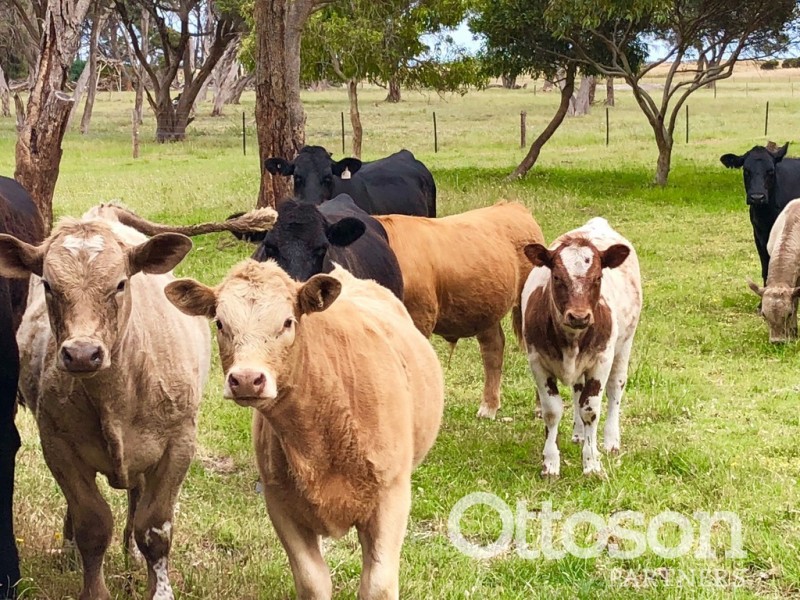 4689 Southern Ports Highway, Robe SA 5276