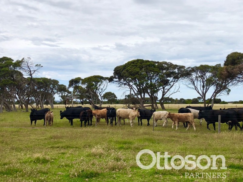 4689 Southern Ports Highway, Robe SA 5276