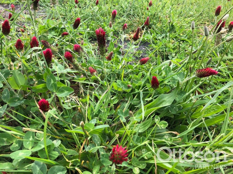 4689 Southern Ports Highway, Robe SA 5276