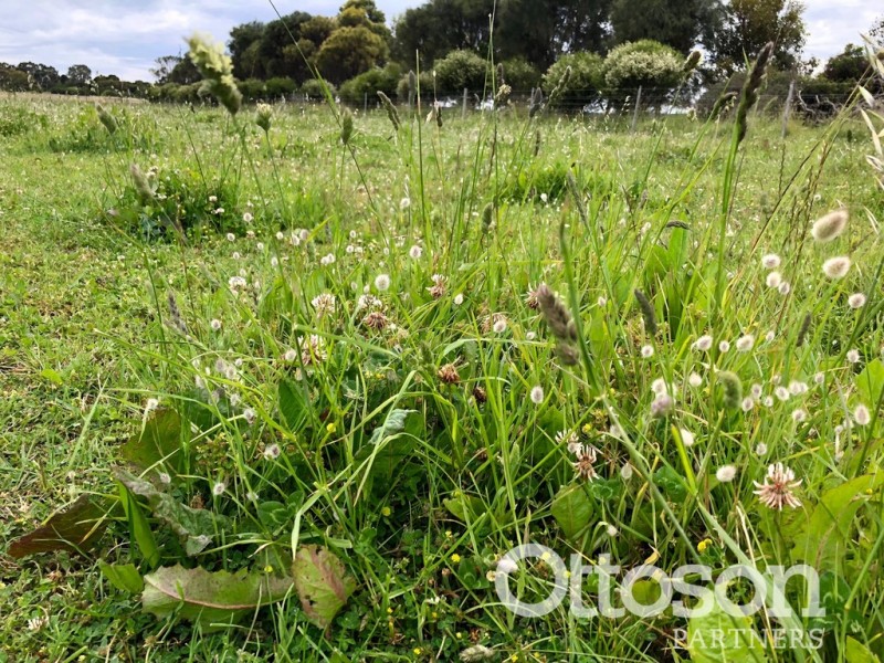 4689 Southern Ports Highway, Robe SA 5276