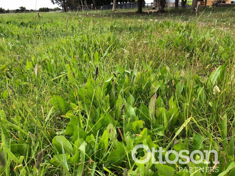 4689 Southern Ports Highway, Robe SA 5276