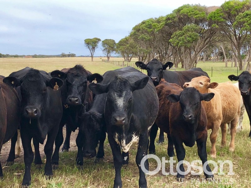 4689 Southern Ports Highway, Robe SA 5276