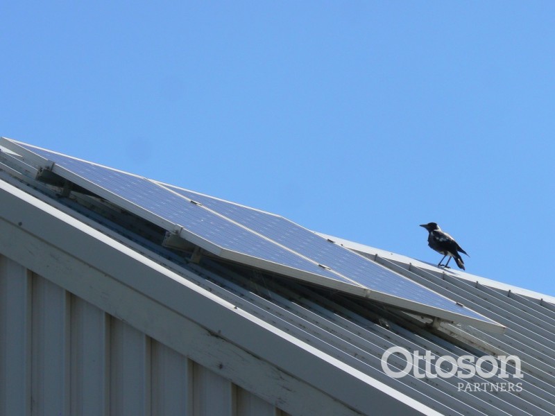 18 Ringwood Drive, Beachport SA 5280