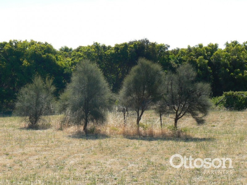 18 Ringwood Drive, Beachport SA 5280