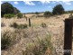 Lot 3 and 4 Southern Ports Highway, Robe SA 5276