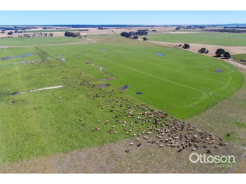 101 Glynns, Galpin and Trevoert Roads, Mount Gambier SA 5291