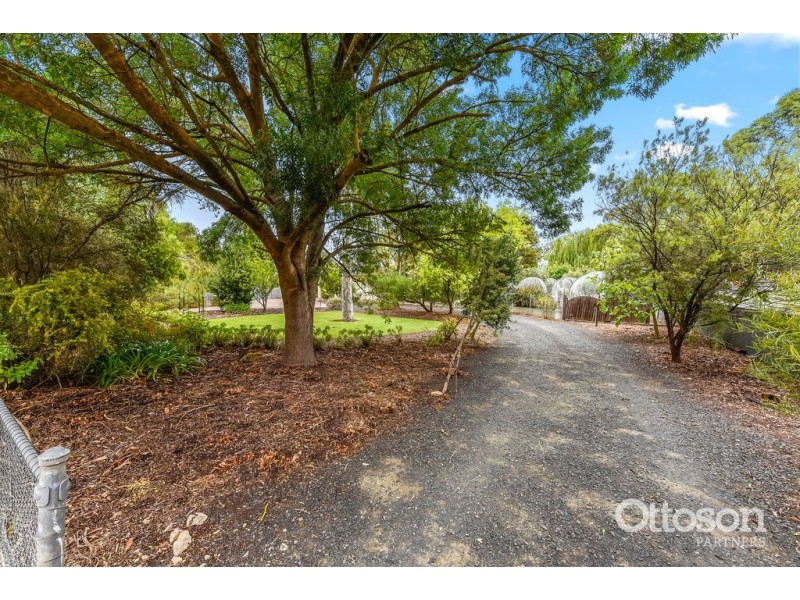 64-66 Gordon Street, Naracoorte SA 5271