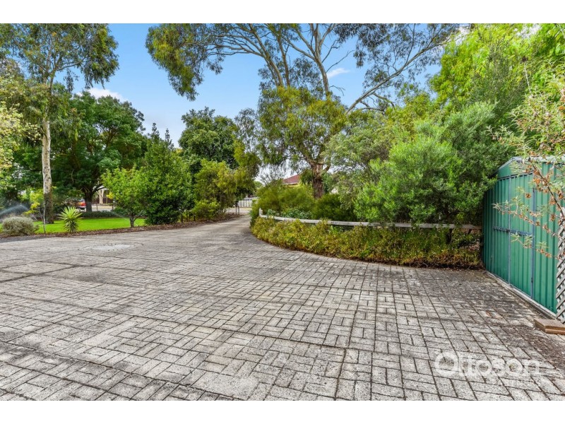 64-66 Gordon Street, Naracoorte SA 5271