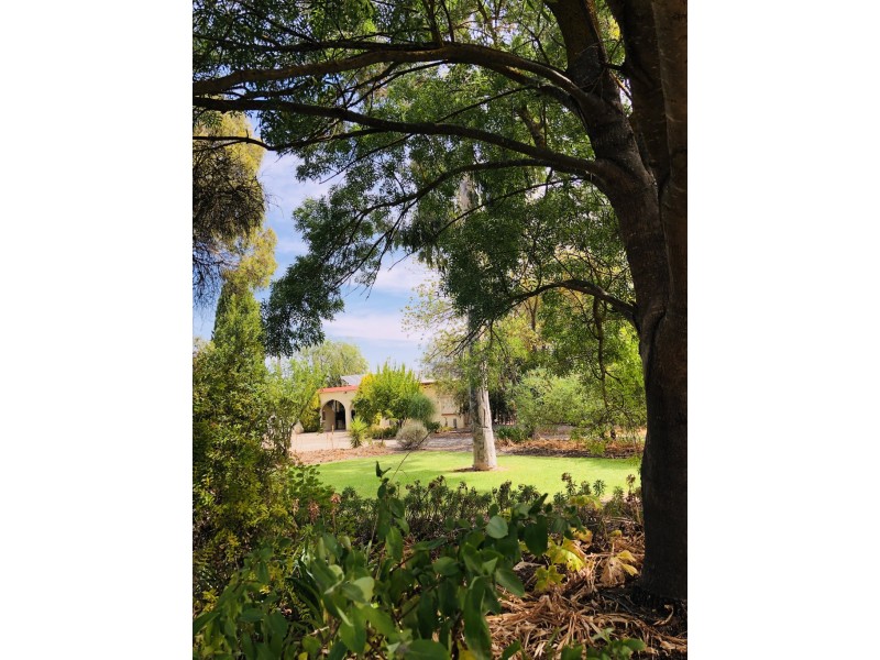 64-66 Gordon Street, Naracoorte SA 5271